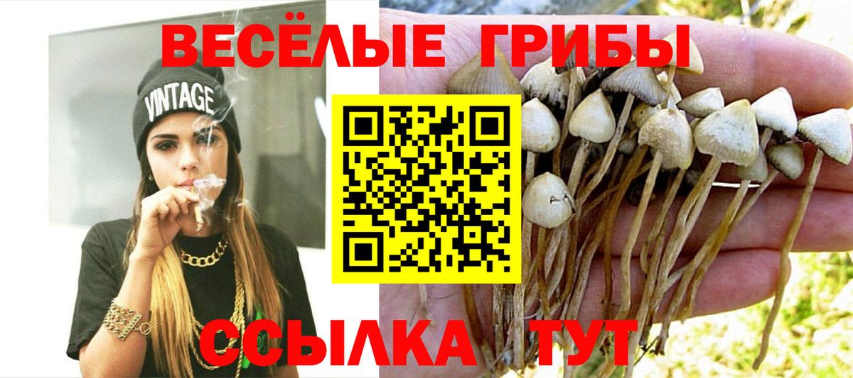 Фрязино  Псилоцибиновые грибы ЛСД  Вход с VPN 