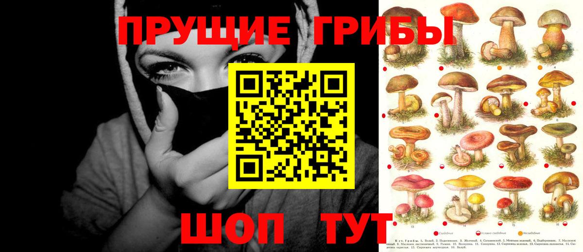 Галлюциногенные грибы Psilocybe Фрязино